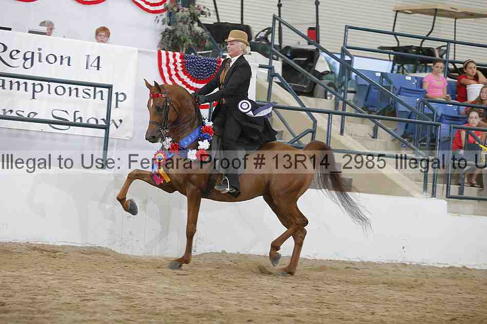 Proof 13r14_2985