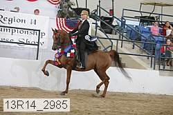 13r14_2985 proof