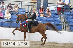 13r14_2986 proof