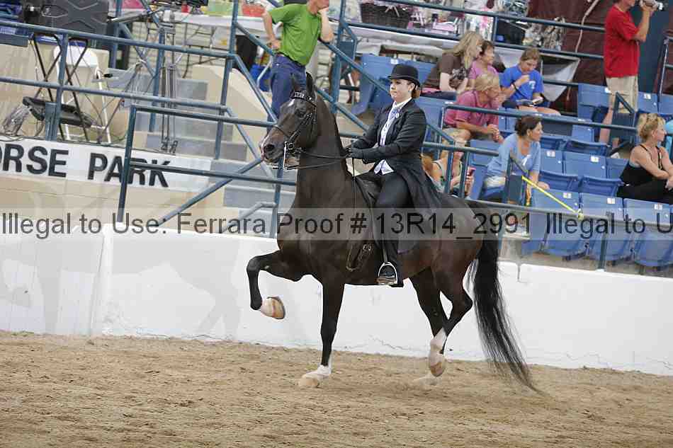 Proof 13r14_2991