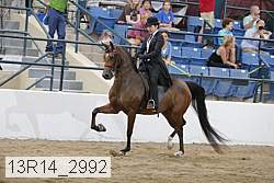 13r14_2992 proof