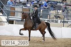 13r14_2993 proof