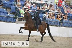 13r14_2994 proof