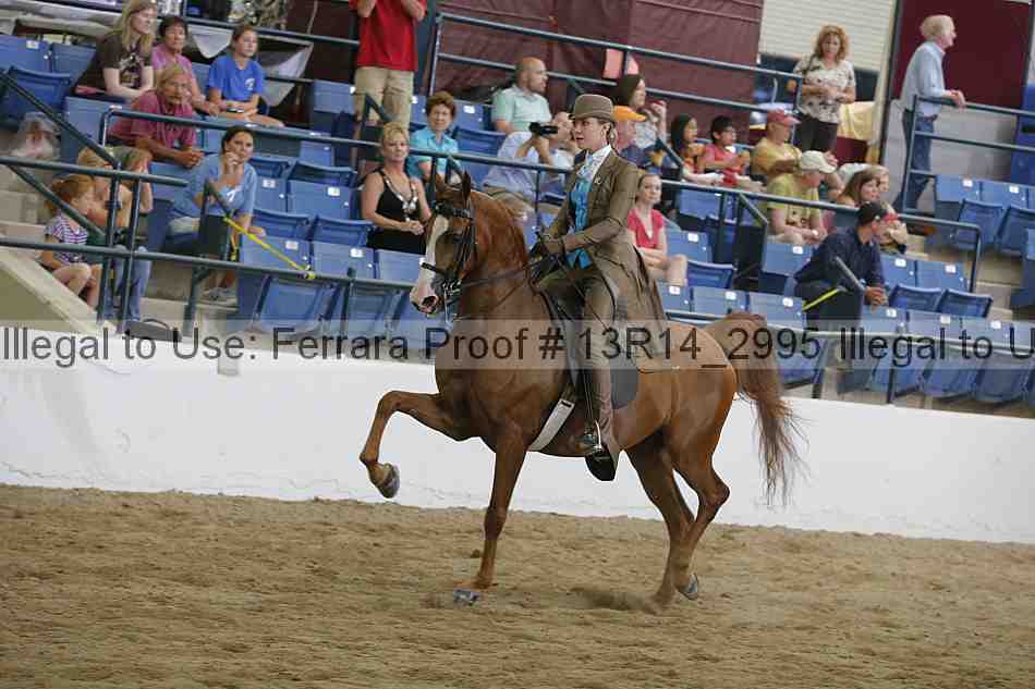 Proof 13r14_2995