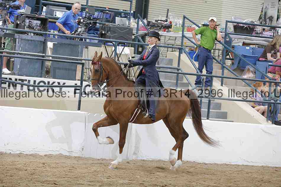 Proof 13r14_2996