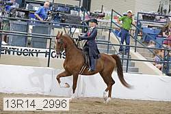 13r14_2996 proof