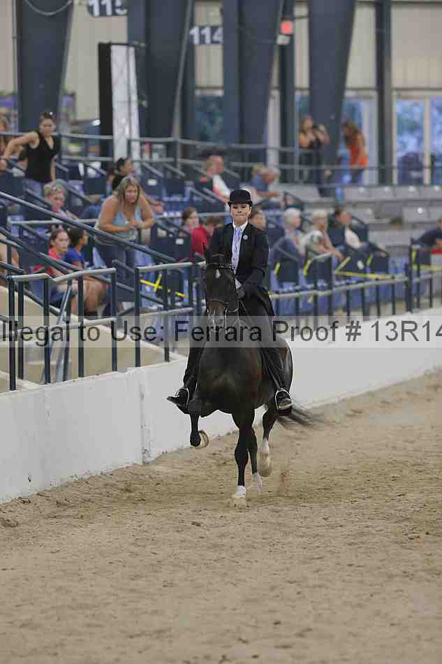 Proof 13r14_2997