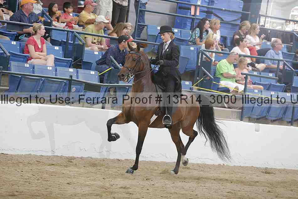 Proof 13r14_3000