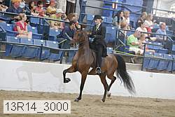 13r14_3000 proof