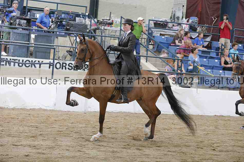Proof 13r14_3002