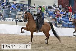 13r14_3002 proof