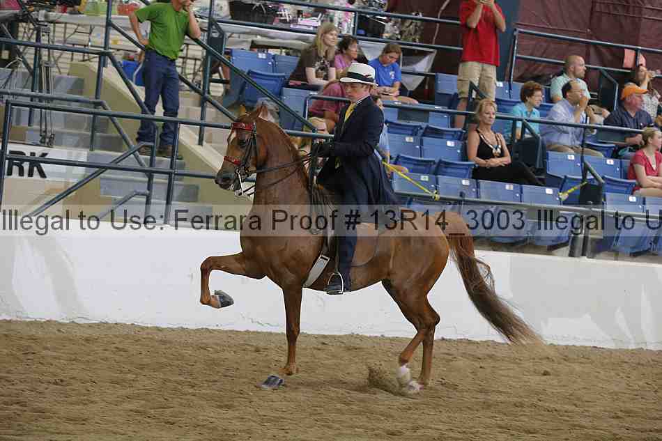 Proof 13r14_3003