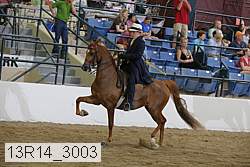 13r14_3003 proof