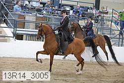 13r14_3005 proof
