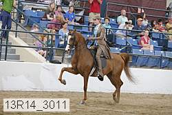 13r14_3011 proof