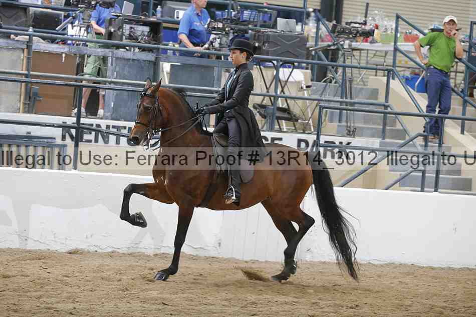Proof 13r14_3012