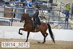 13r14_3012 proof