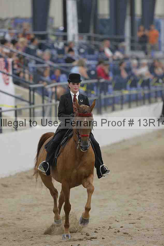 Proof 13r14_3013