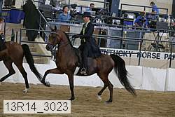 13r14_3023 proof