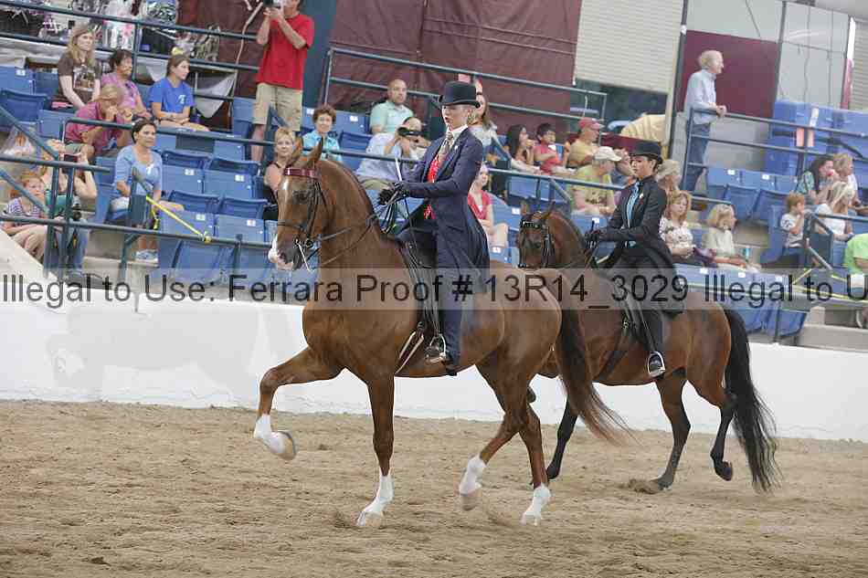 Proof 13r14_3029