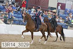13r14_3029 proof