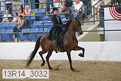 13r14_3032 proof