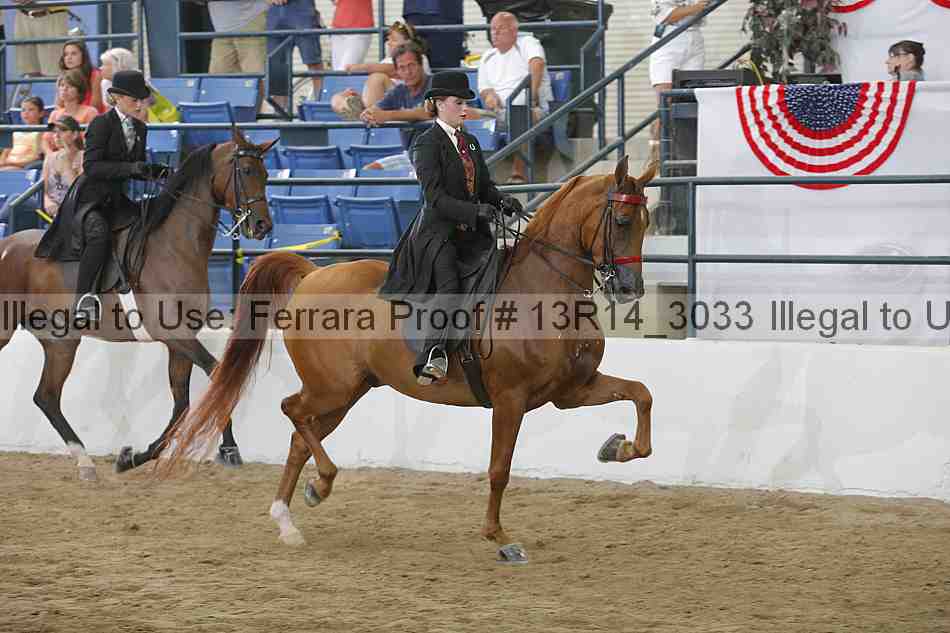Proof 13r14_3033