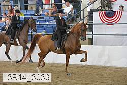 13r14_3033 proof