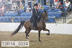 13r14_3034 proof