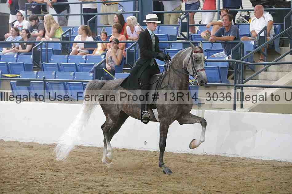 Proof 13r14_3036