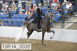 13r14_3036 proof