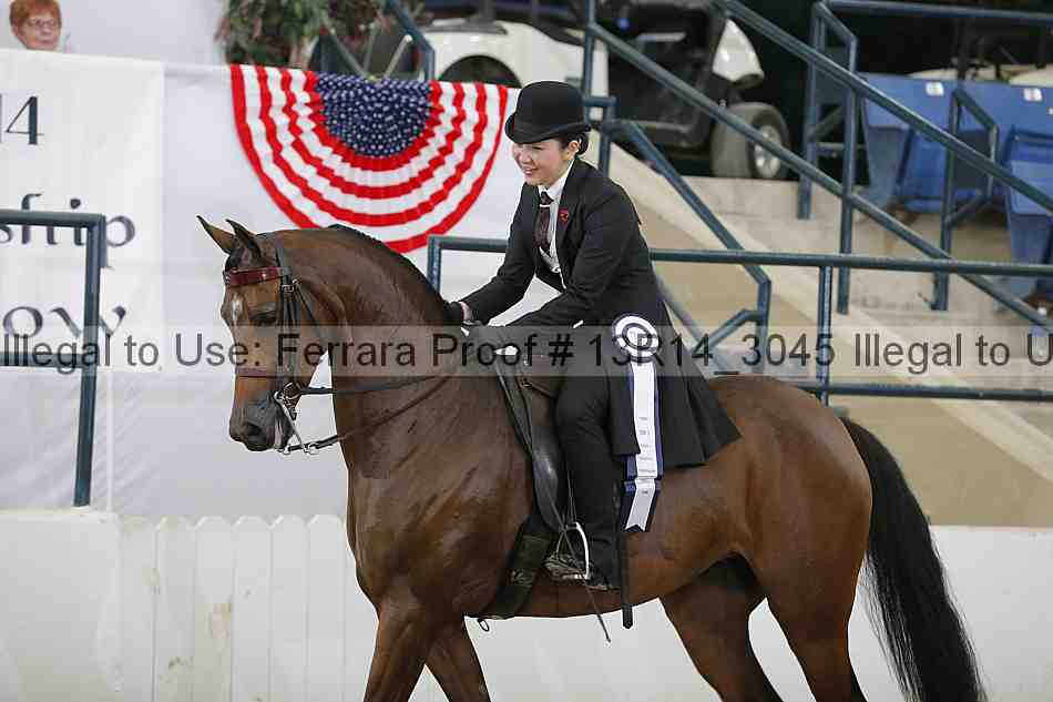 Proof 13r14_3045