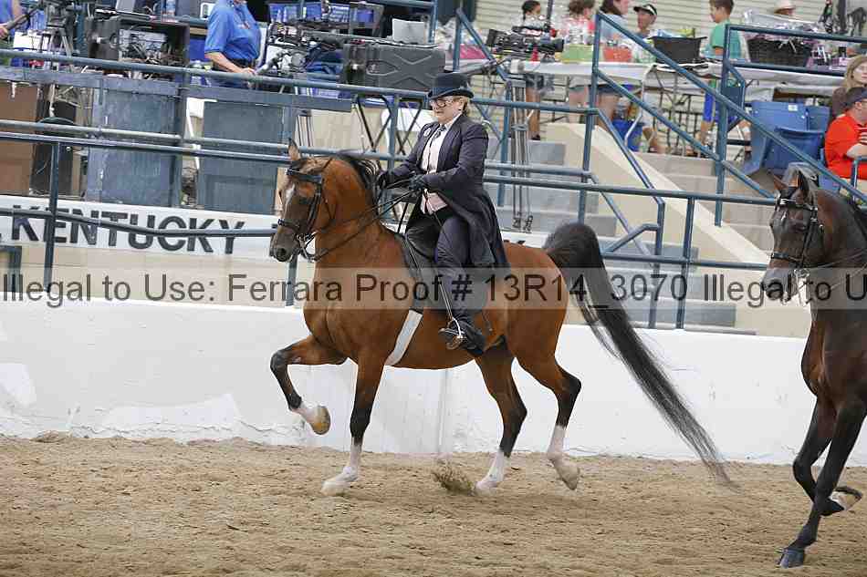 Proof 13r14_3070