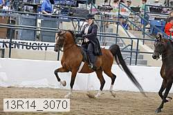 13r14_3070 proof