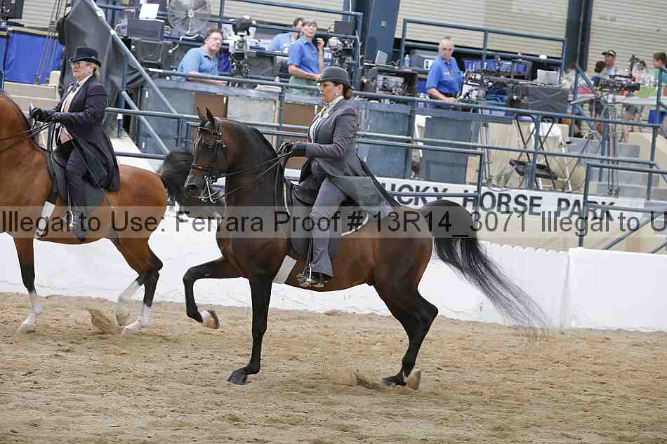Proof 13r14_3071