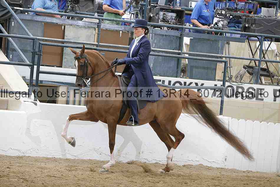 Proof 13r14_3072