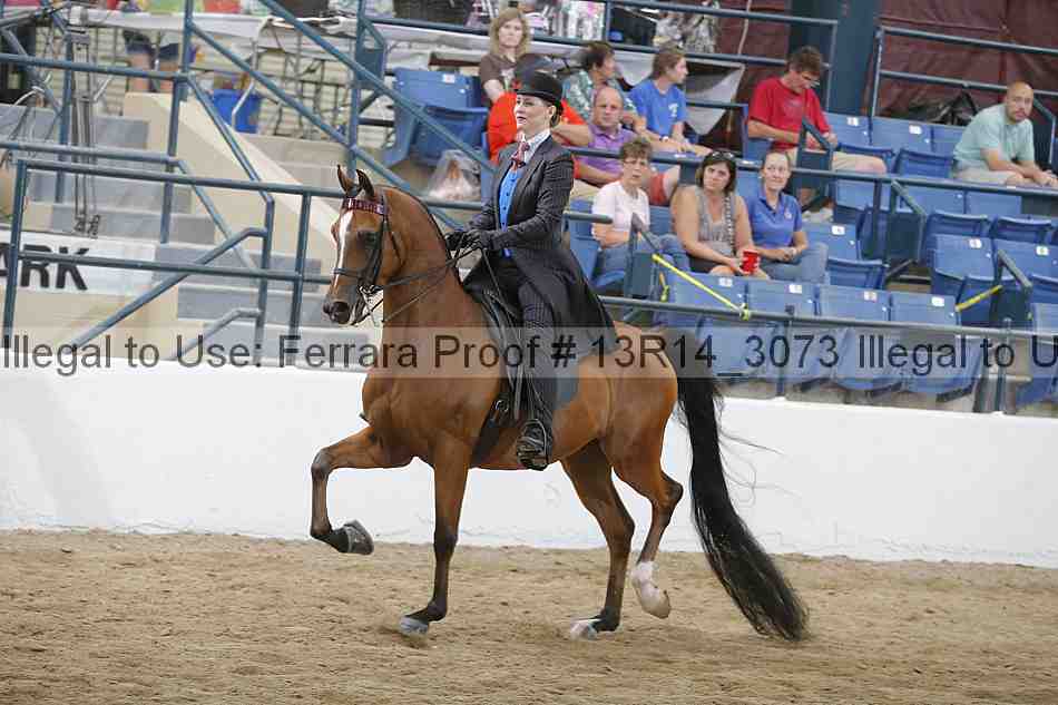 Proof 13r14_3073