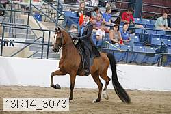 13r14_3073 proof