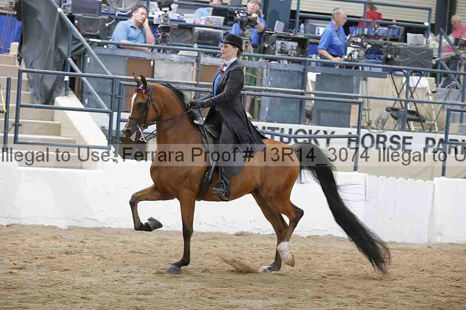 Proof 13r14_3074