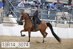 13r14_3074 proof