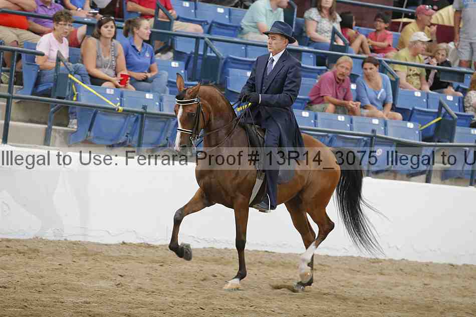 Proof 13r14_3075