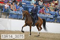 13r14_3075 proof