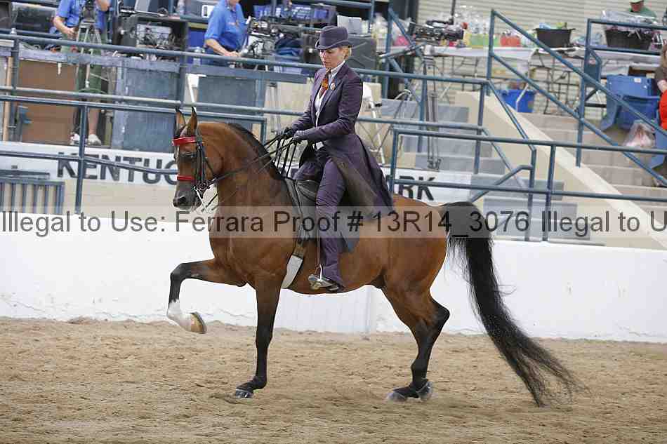 Proof 13r14_3076