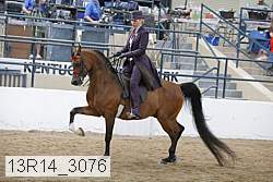 13r14_3076 proof
