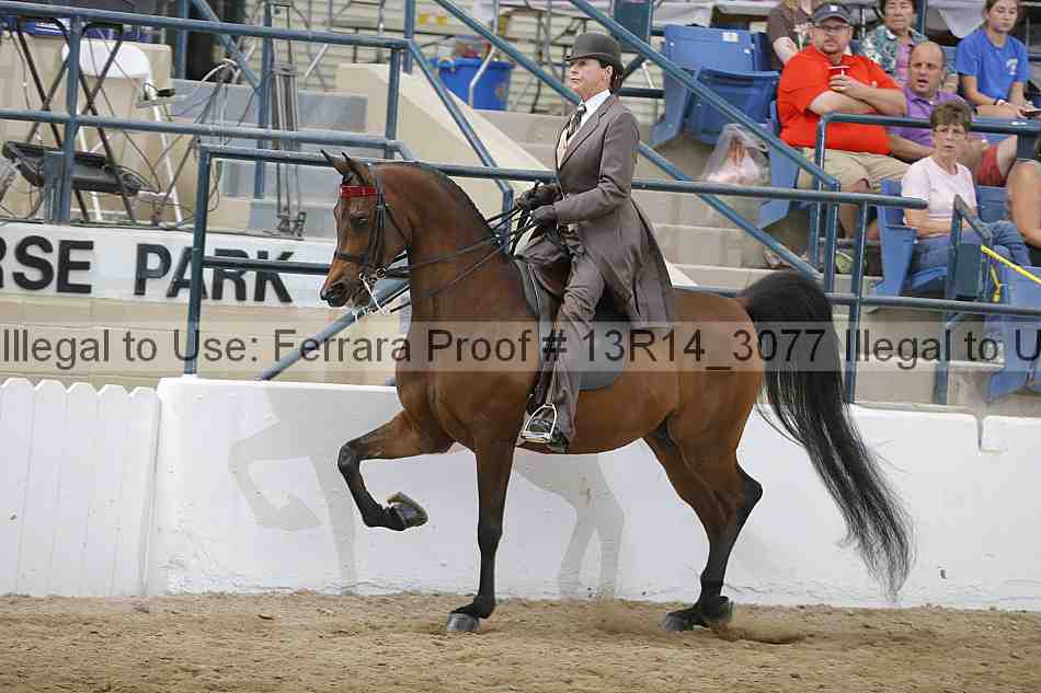 Proof 13r14_3077