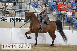 13r14_3077 proof