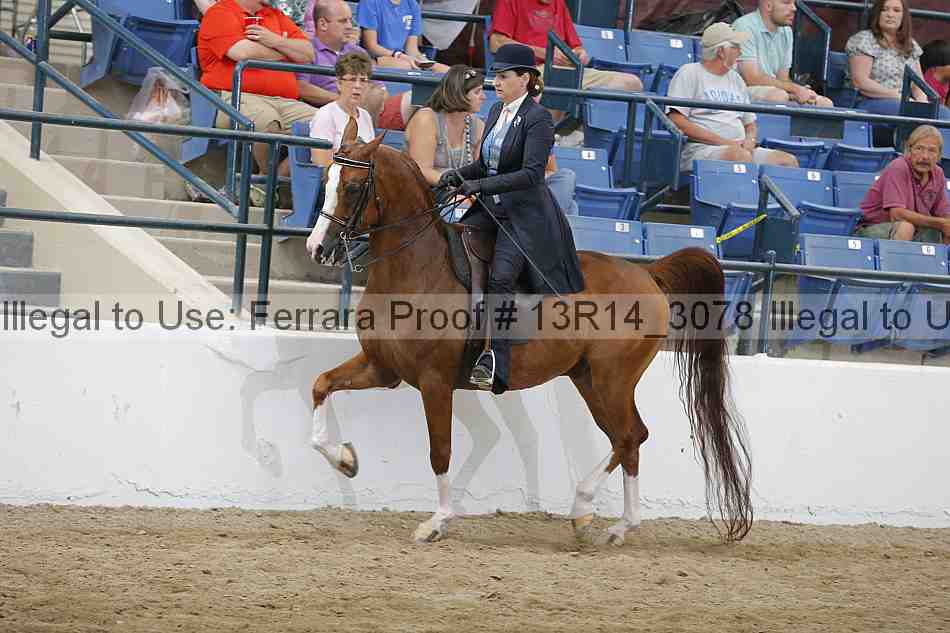Proof 13r14_3078