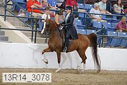 13r14_3078 proof