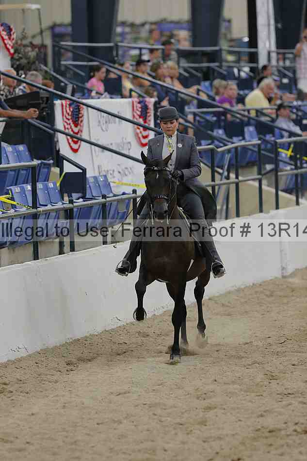 Proof 13r14_3079