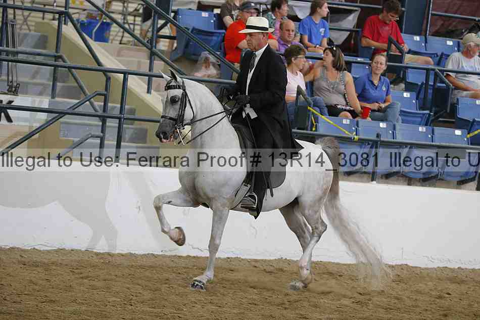 Proof 13r14_3081